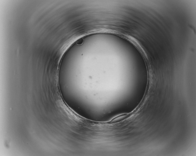 X0000102221244200808011155