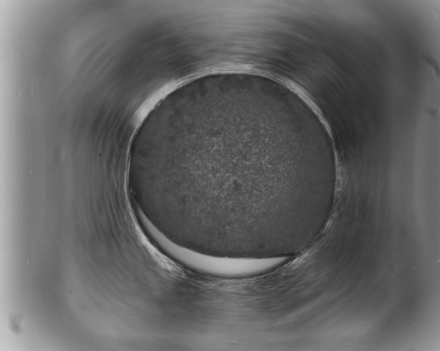 X0000102221245200808011155