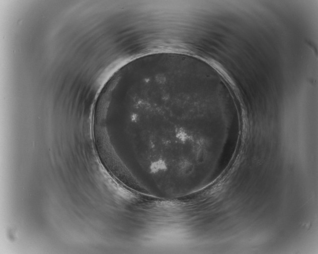 X0000102221246200808011155