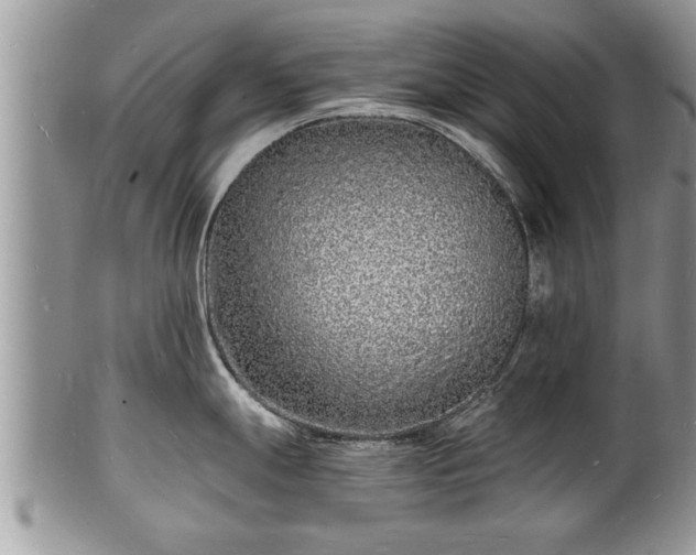 X0000102221247200808011155