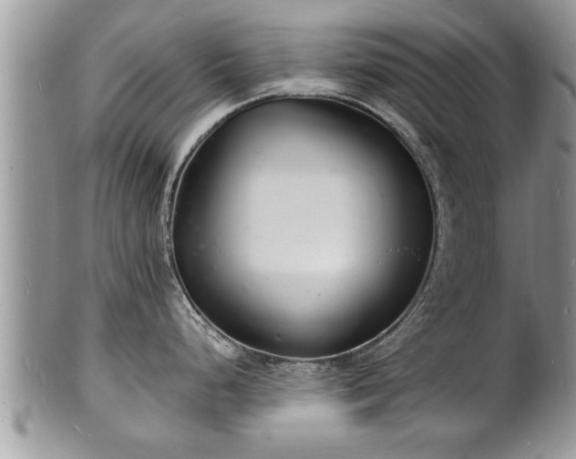 X0000102221248200808011155