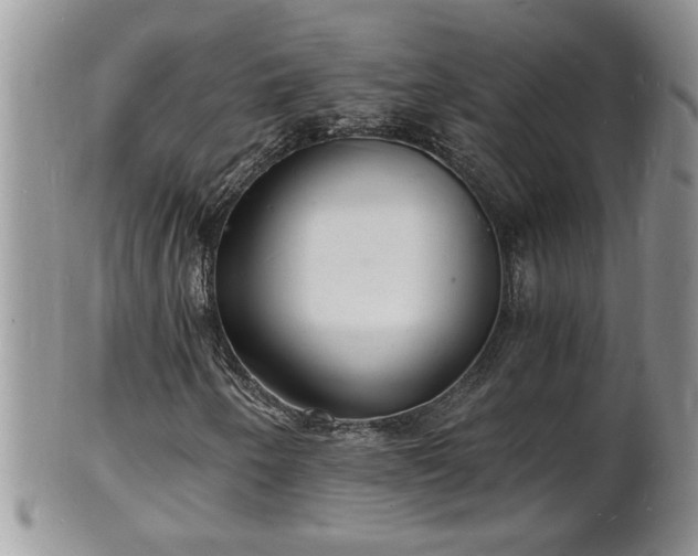 X0000102221250200808011154