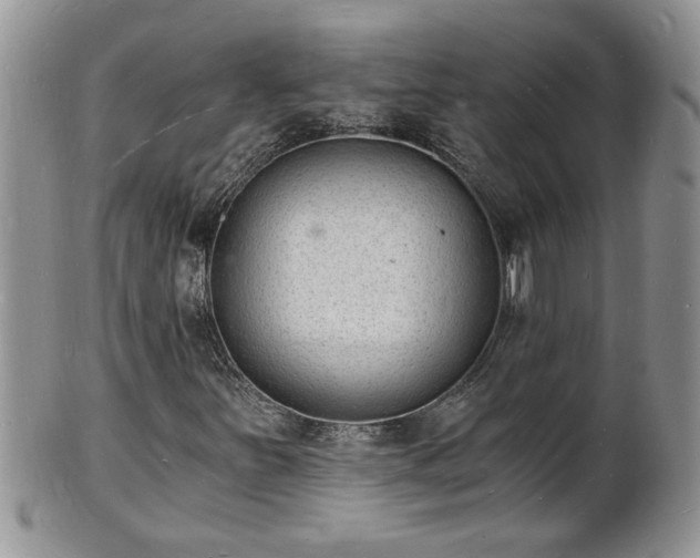 X0000102221251200808011154