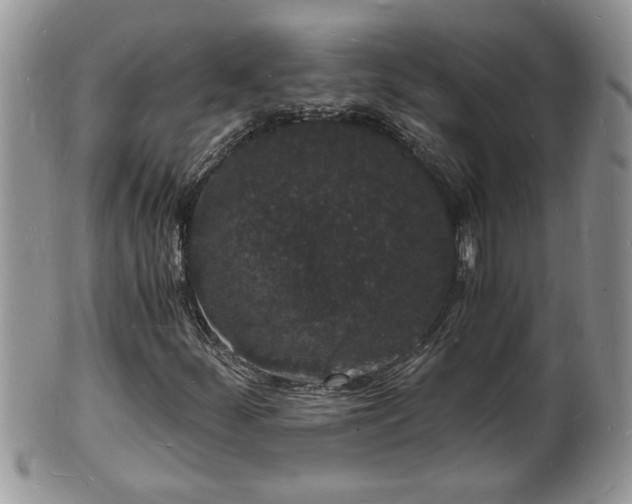 X0000102221252200808011154