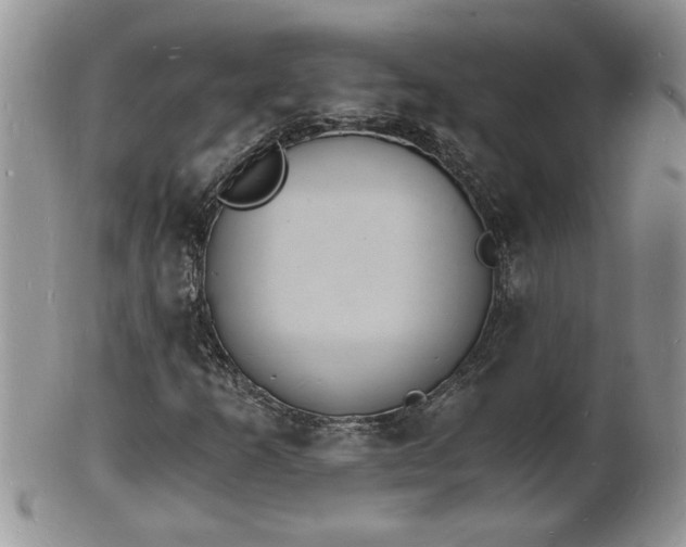 X0000102221253200808011154