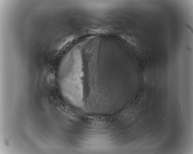 X0000102221254200808011154