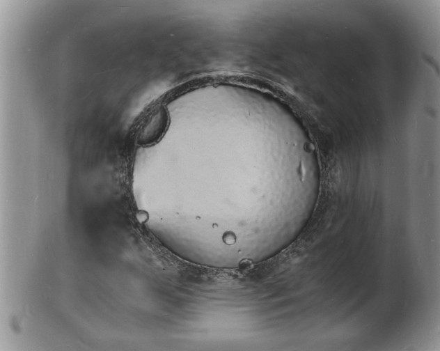 X0000102221255200808011154