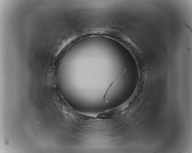 X0000102221256200808011154