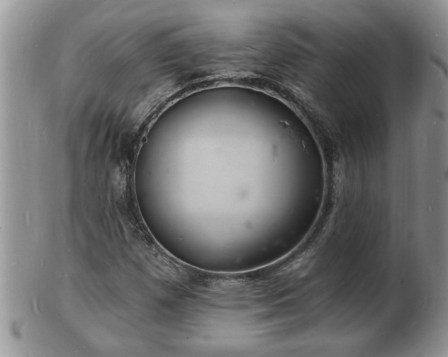 X0000102221257200808011154