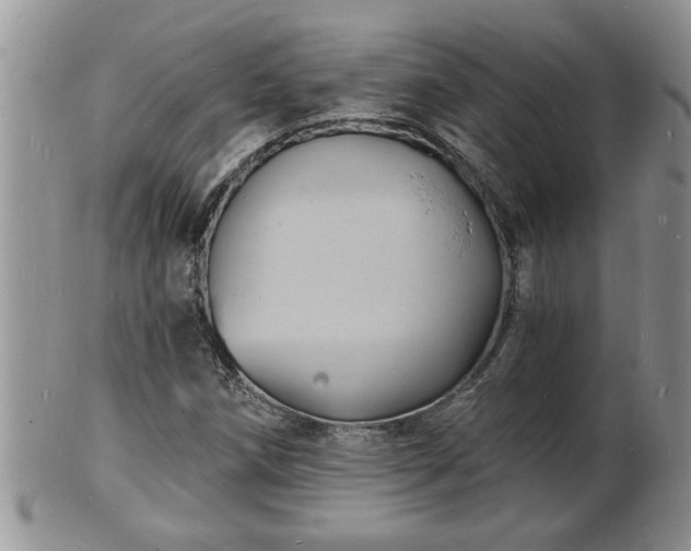 X0000102221258200808011154