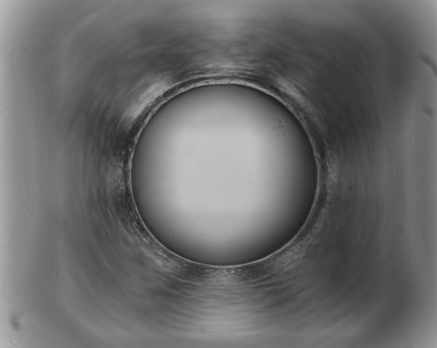 X0000102221259200808011154