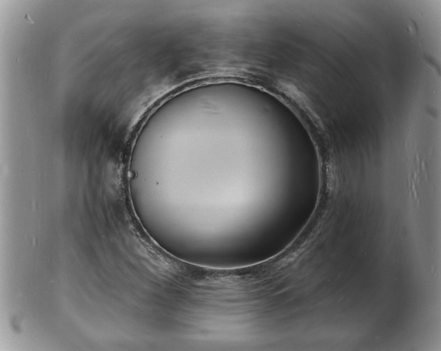 X0000102221260200808011154