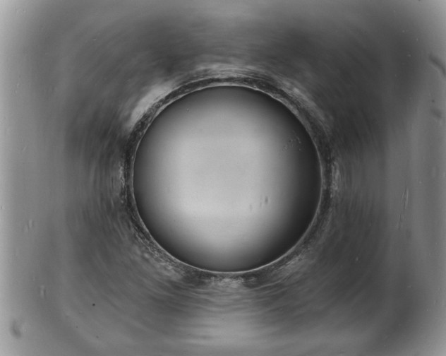 X0000102221261200808011154