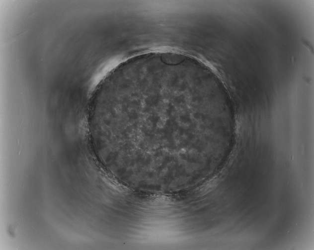 X0000102221263200808011154