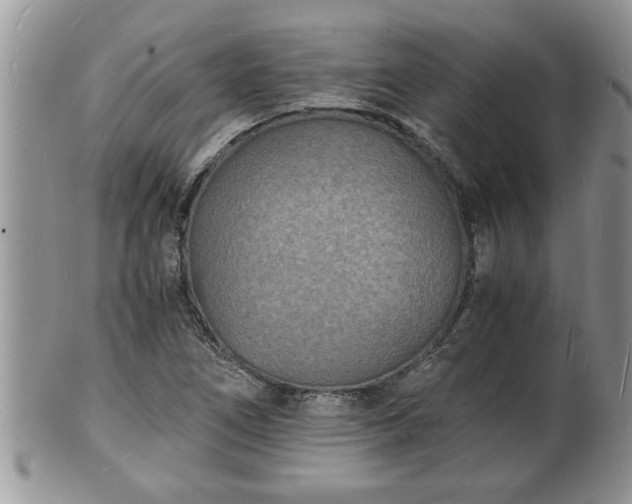 X0000102221266200808011154