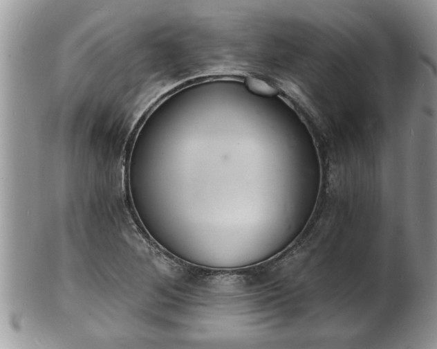 X0000102221268200808011154