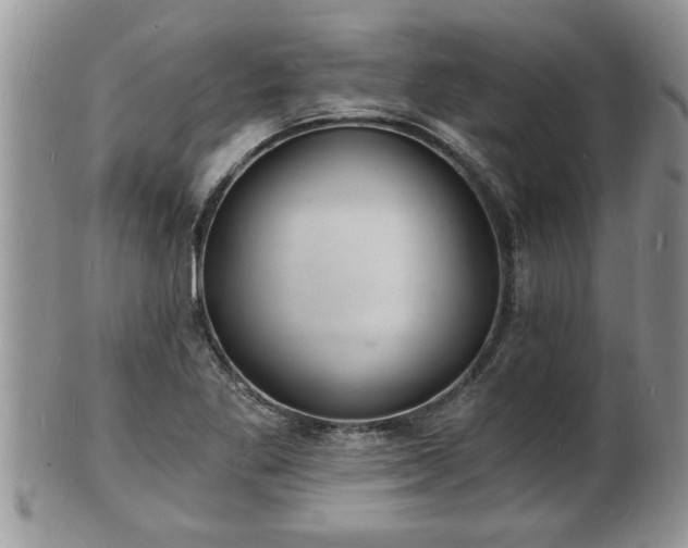 X0000102221269200808011154