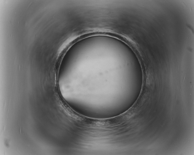 X0000102221271200808011154