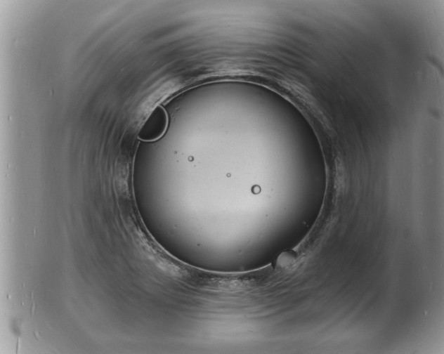 X0000102221273200808011154