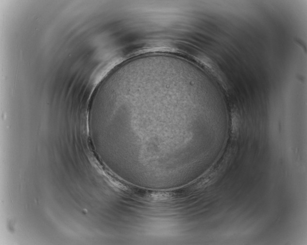 X0000102221274200808011154