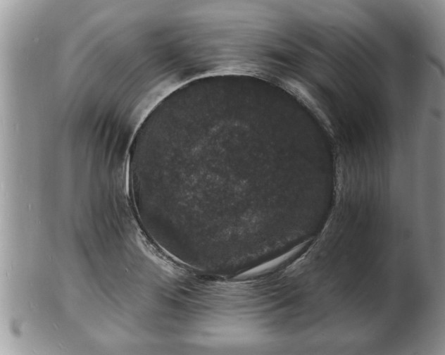 X0000102221276200808011154