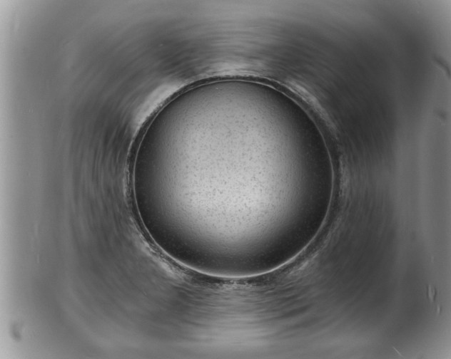 X0000102221277200808011154