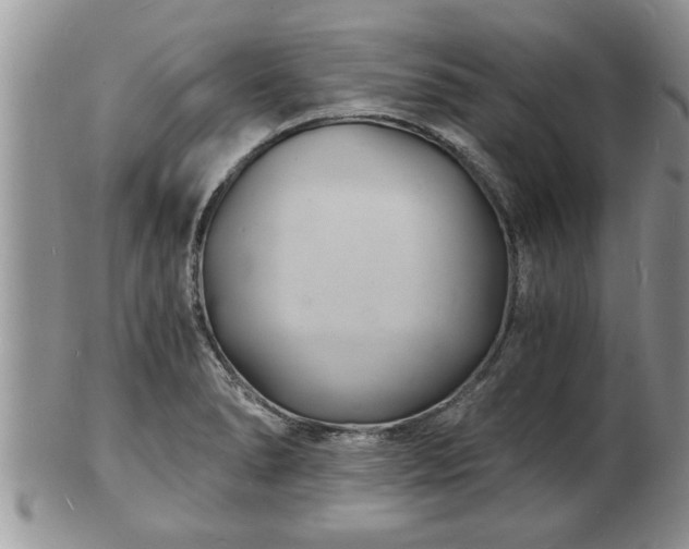 X0000102221278200808011154