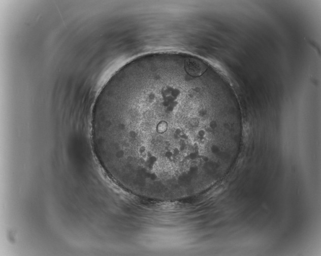 X0000102221279200808011154