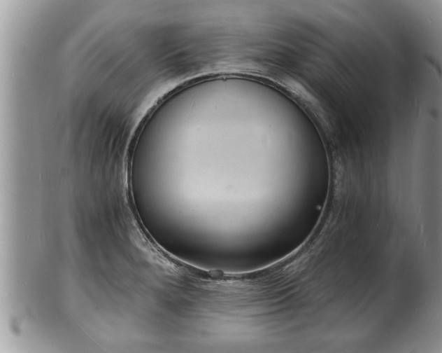 X0000102221280200808011154