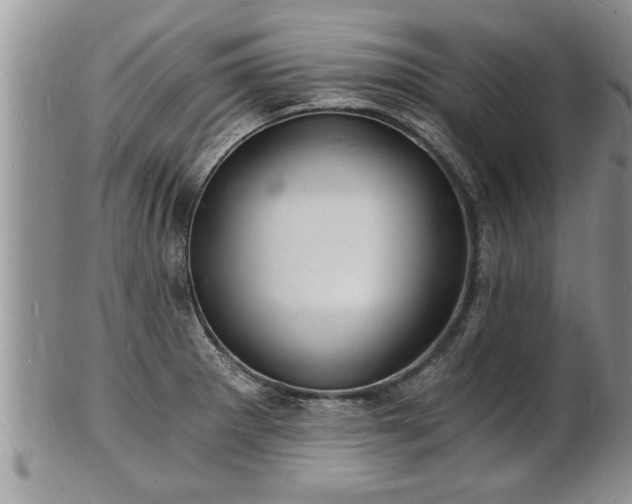 X0000102221281200808011154