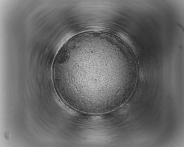 X0000102221283200808011153