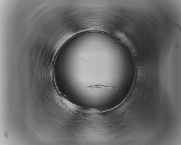 X0000102221284200808011153