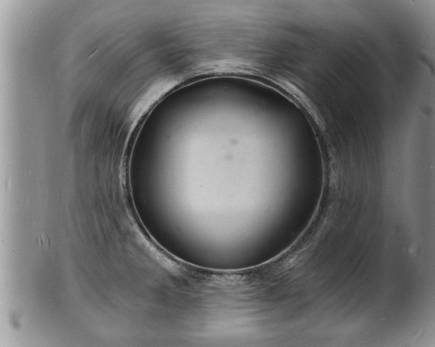 X0000102221285200808011153