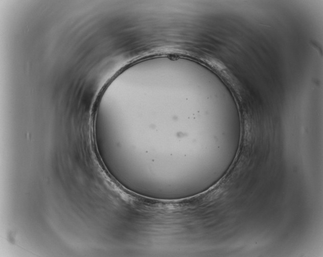 X0000102221286200808011153