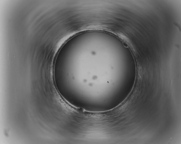 X0000102221288200808011153