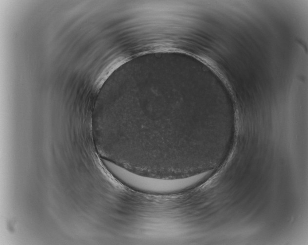 X0000102221289200808011153