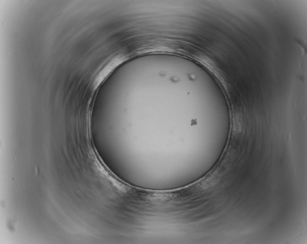 X0000102221290200808011153