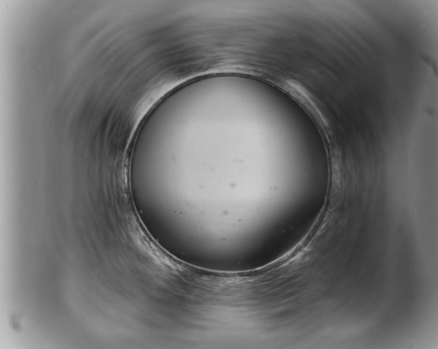 X0000102221292200808011153