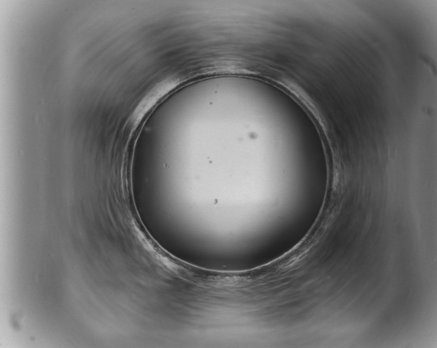 X0000102221293200808011153