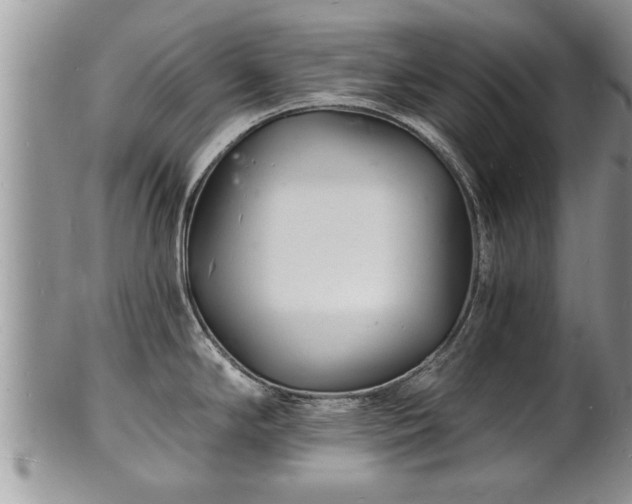 X0000102221294200808011153