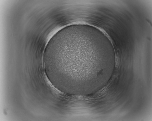 X0000102221295200808011153