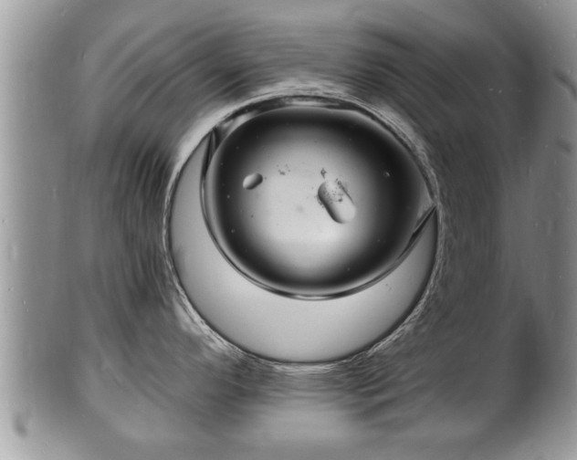 X0000102221296200808011153