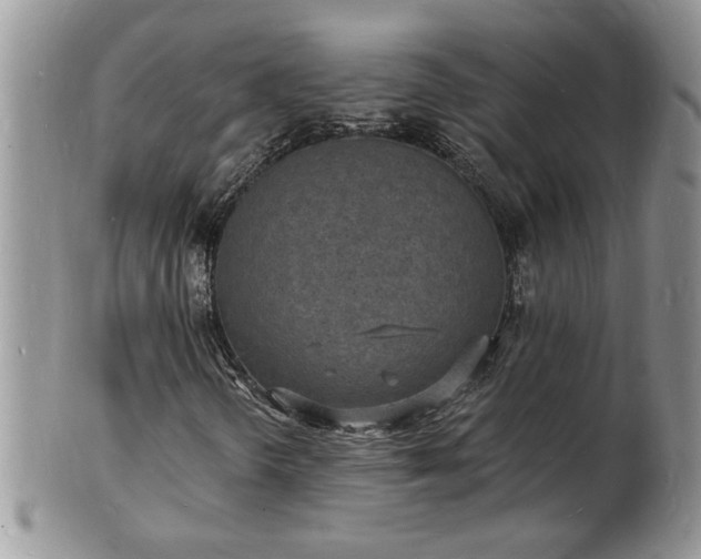 X0000102221298200808011153