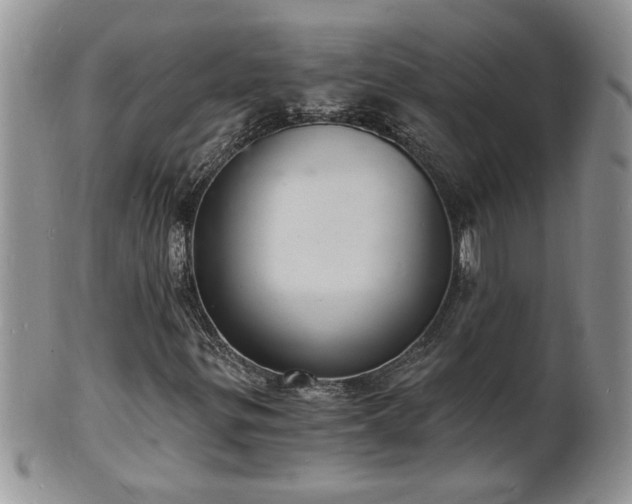 X0000102221299200808011153