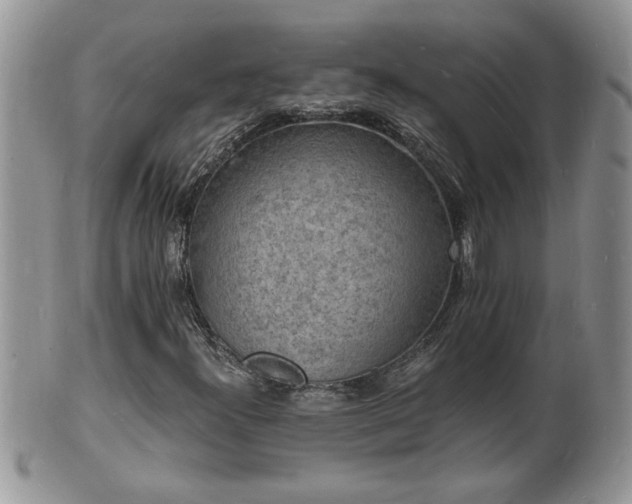 X0000102221300200808011153