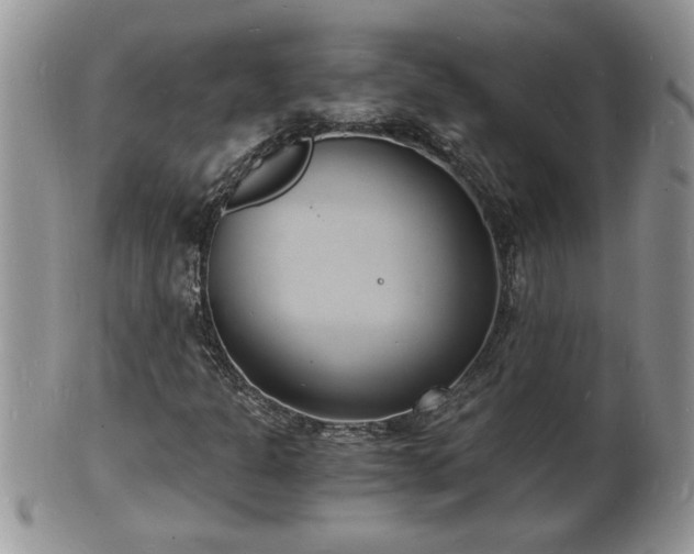 X0000102221301200808011153