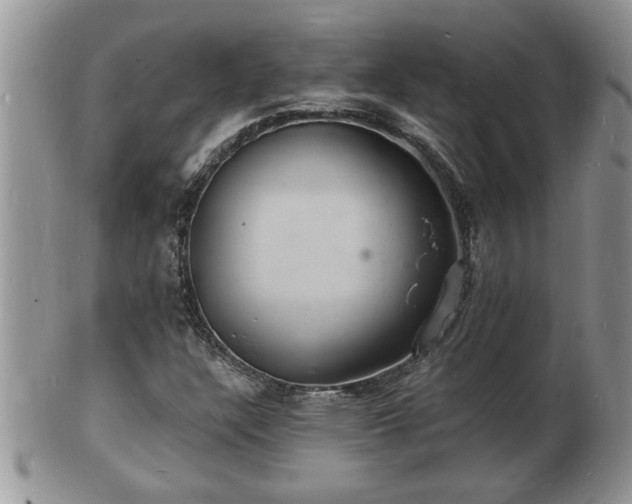 X0000102221304200808011153