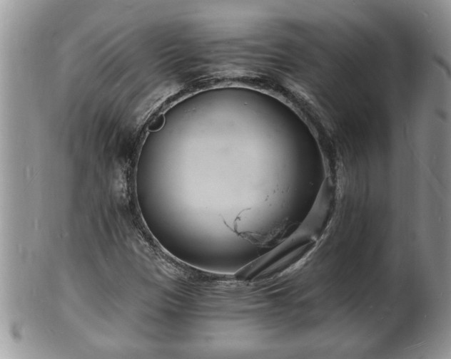 X0000102221305200808011153