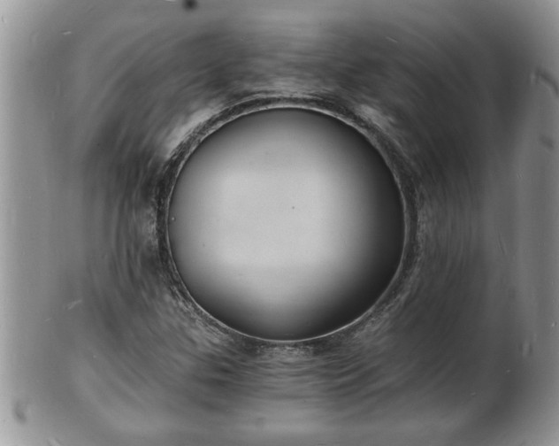 X0000102221307200808011153