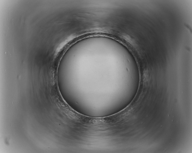 X0000102221310200808011153